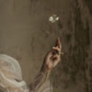 Meet your Posher, Max